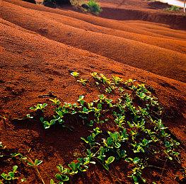 《英雄传说：空之轨迹》20周年纪念 官方纪念网站贺图发布